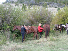 Convoyage de chevaux dans l'état de l'Idaho aux USA